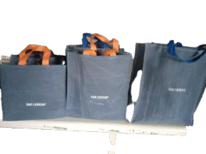 Souvenir Hand Bag